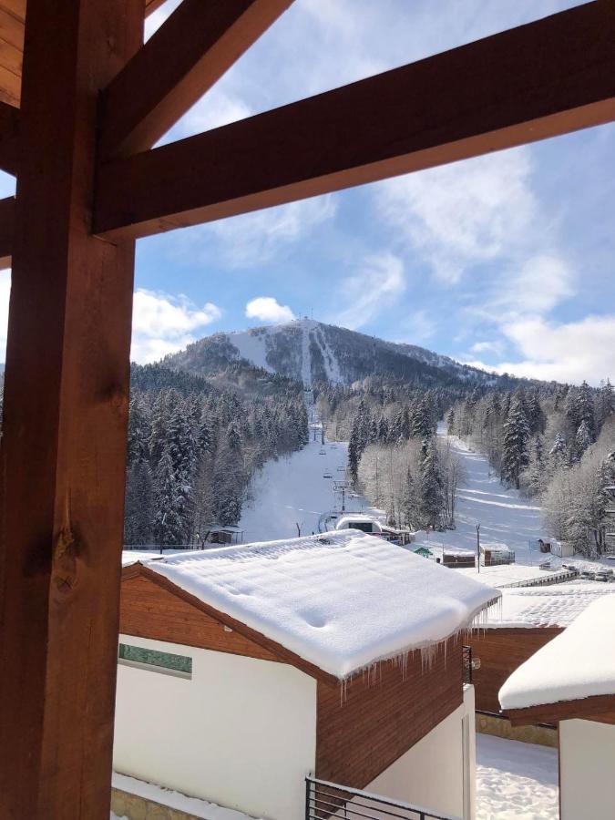 Chalet Kokhta บาคูเรียนี ภายนอก รูปภาพ