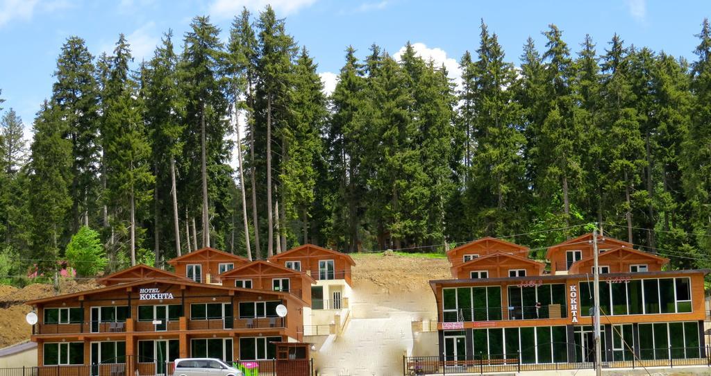 Chalet Kokhta บาคูเรียนี ภายนอก รูปภาพ