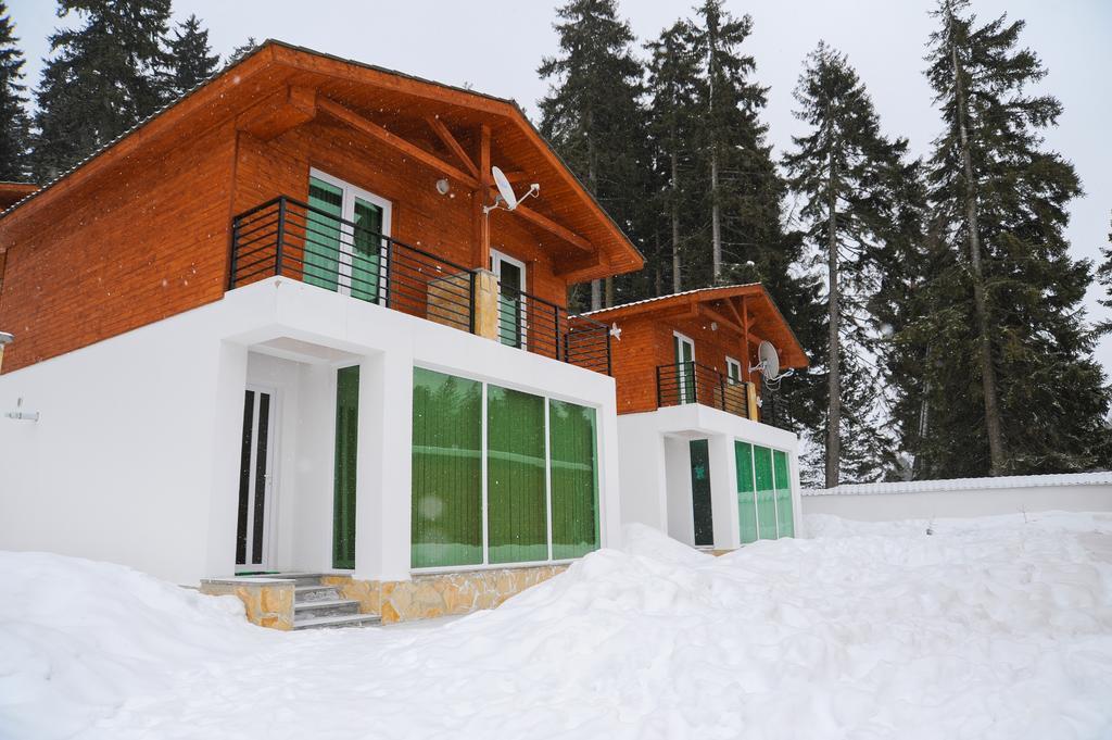 Chalet Kokhta บาคูเรียนี ภายนอก รูปภาพ