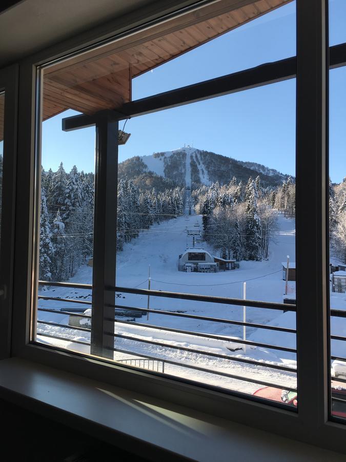 Chalet Kokhta บาคูเรียนี ภายนอก รูปภาพ